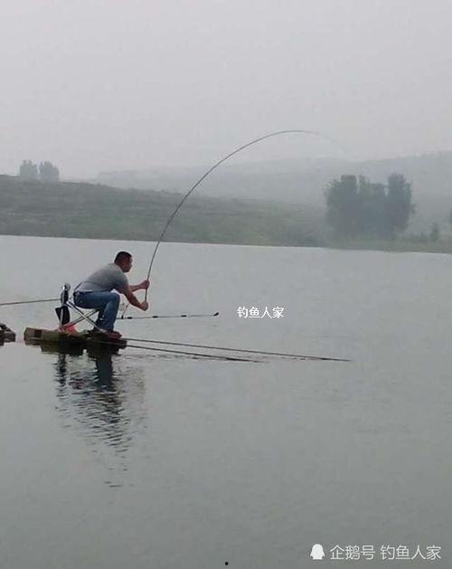 钓鱼人爆料最新,最新钓鱼技巧与心得分享